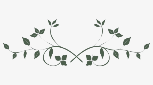 Herbalist Training - Follow the Plant Path 1 108 1088164 vine flower png transparent background wedding flower png