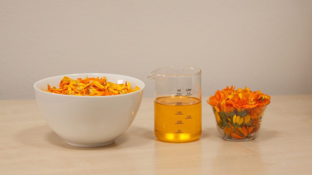 calendula officinalis 1695980 1920