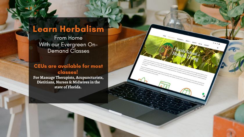 On-Demand Classes 1 table with potted plants and laptop displaying find classes page for florida school of holistic living and text overlay to learn herbalism from home with our on-demand classes and continuing education units are available