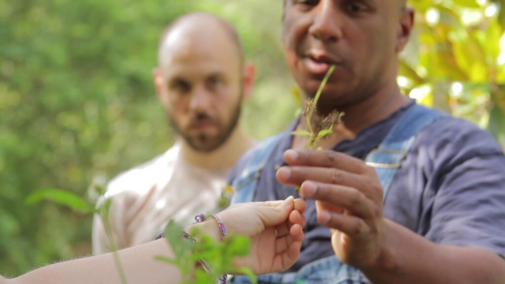 Get Involved 5 maxresdefault 1