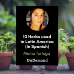 10 Herbs used in Latin America (in Spanish) with Mama Tortuga 10 herbs Latin America Mama Tortuga