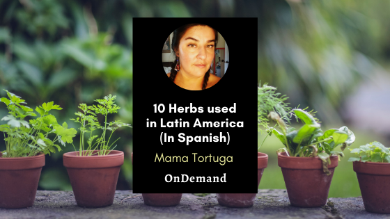 10 Herbs used in Latin America (in Spanish) with Mama Tortuga