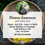Flower Essences for Emotional Health with Emily Ruff - Fall 2025 2025 Flower Essences