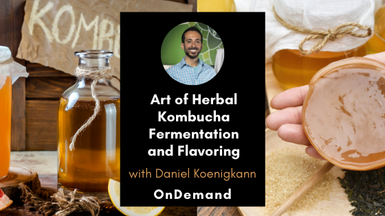 Art of Herbal Kombucha Fermentation and Flavoring