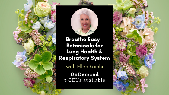 Breathe Easy: Botanicals for Lung Health and Respiratory System