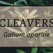 Cleavers