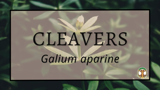 Resources 6 Cleavers