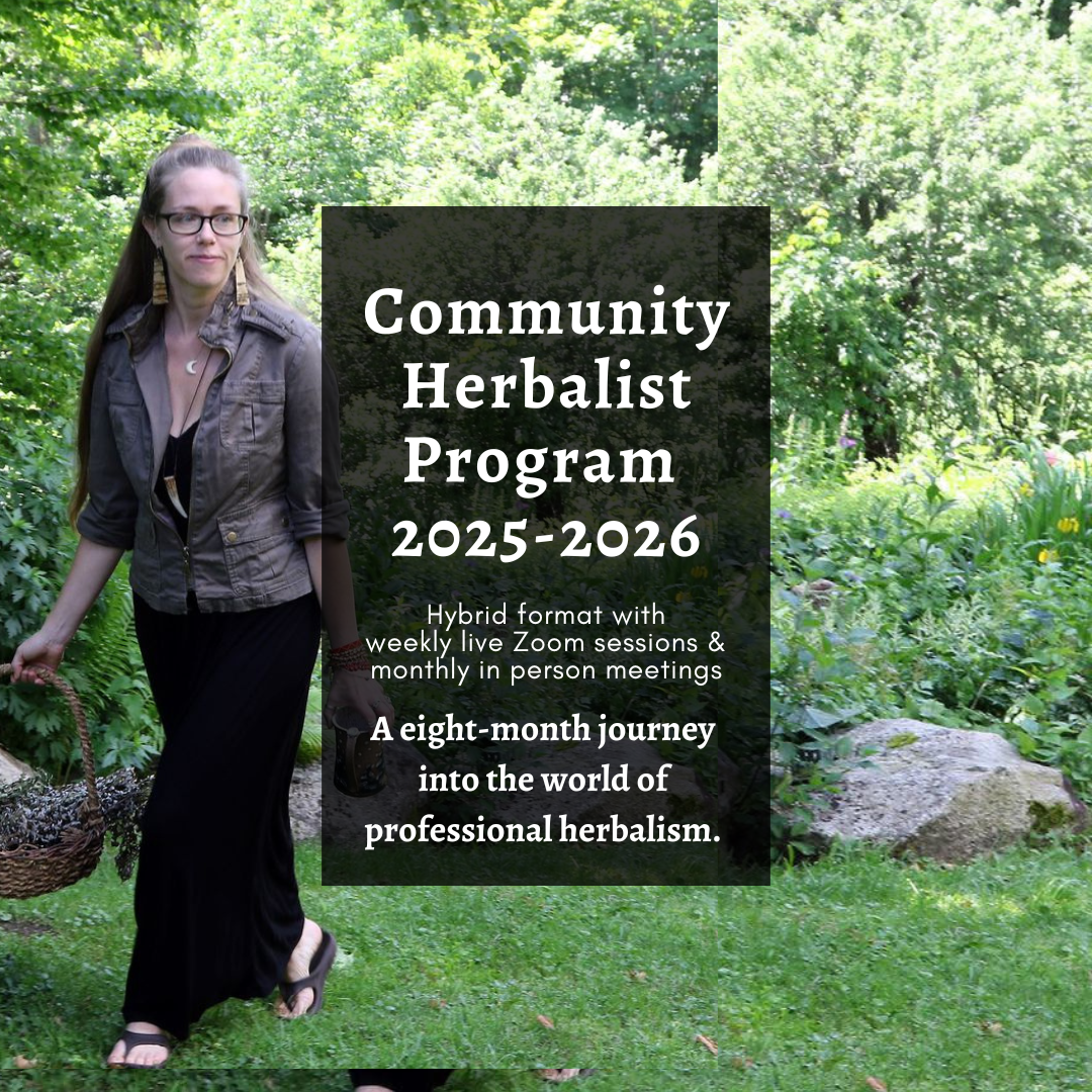 Herbalist Training - Follow the Plant Path 14 Community Herbalist Program Live with Zoom 1