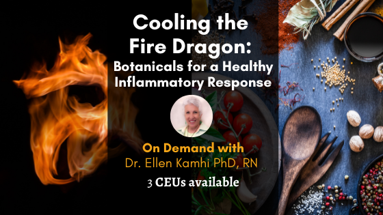 Cooling the Fire Dragon: Botanicals for a Healthy Inflammatory Response with Ellen Kamhi