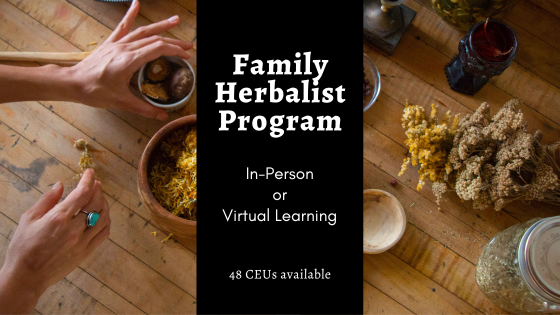 Herbalist Training - Follow the Plant Path 13 Fall Family 2022