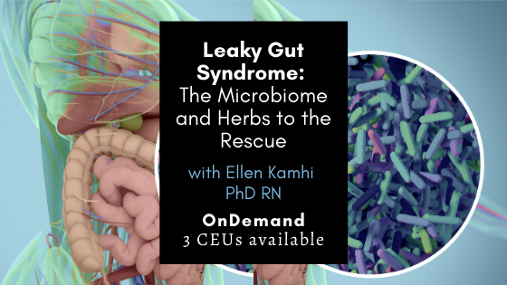Leaky Gut Syndrome: The Microbiome – Herbs and Natural Remedies to the Rescue!