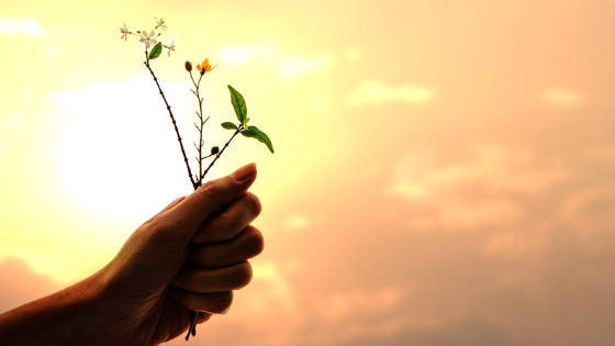 Get Involved 1 make a donation web 560x315 1