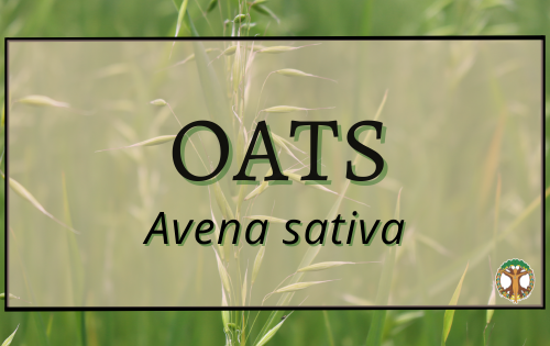 Oats 4 Oats