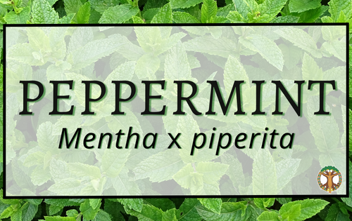 Peppermint 8 Peppermint 1