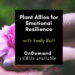 Plant Allies for Emotional Resilience