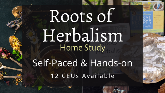 Herbalist Training - Follow the Plant Path 11 Roots of Herbalism Home Study simple