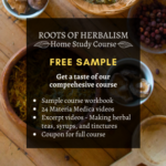 Roots of Herbalism Home Study- Free Sample Class Roots of Herbalism Sample Class