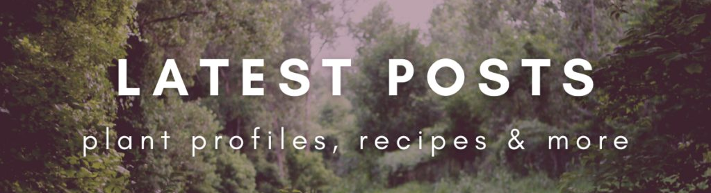 Screen Shot 2021 02 16 at 1.27.00 PM