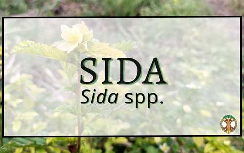 Sida 5 Sida 1