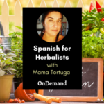 Spanish for Herbalists with Mama Tortuga Spanish for Herbalists Mama Tortuga Ondemand