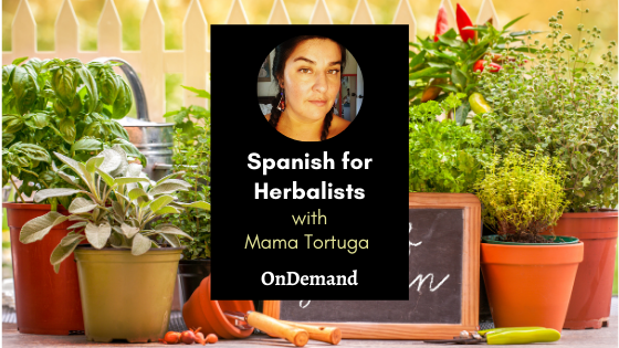 Spanish for Herbalists with Mama Tortuga