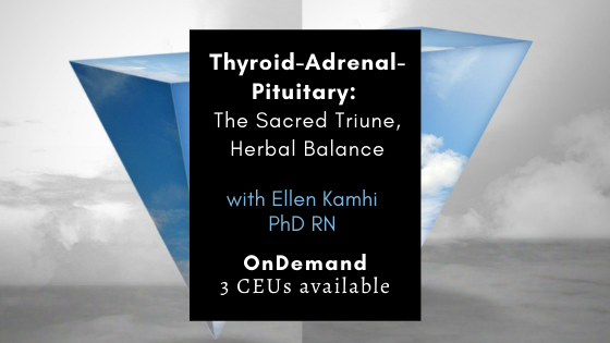 Thyroid-Adrenal-Pituitary: The Sacred Triune