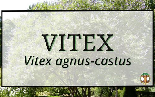 Vitex 5 Vitex