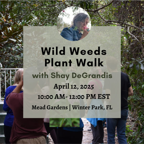Wild Weeds Plant Walk at Mead Garden with Shay - April 12, 2025